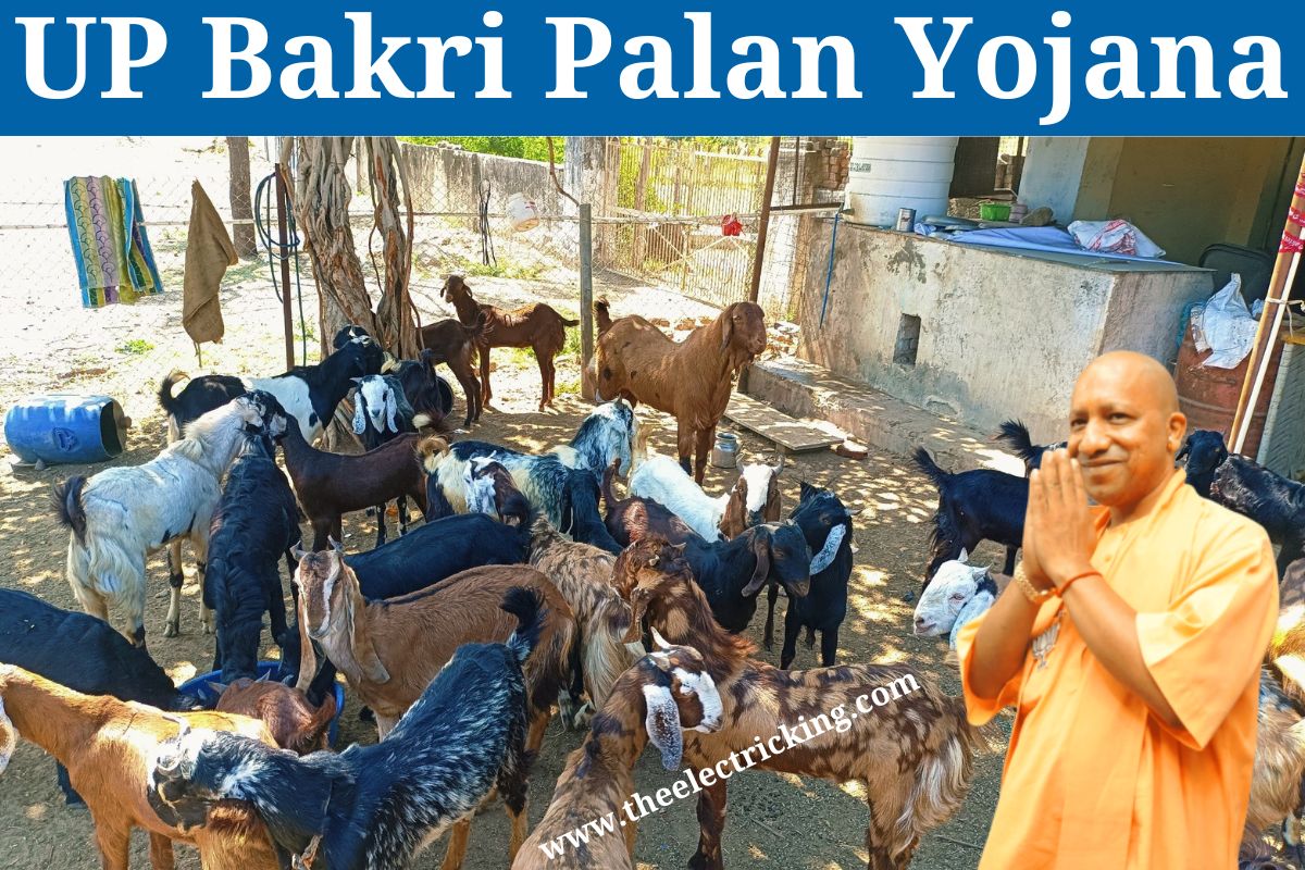 Uttar Pradesh Bakri Palan Yojana