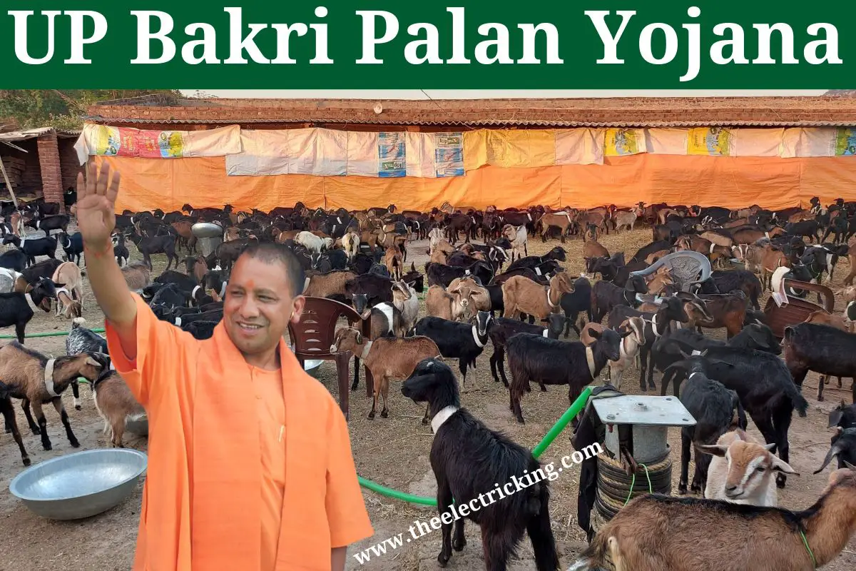 UP Bakri Palan Yojana